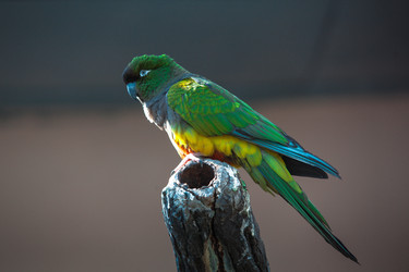 Similar image 8394415