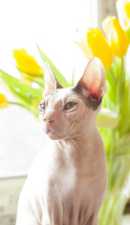 Similar image 8394416