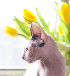 Similar image 8394417