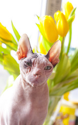 Similar image 8394418