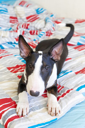 Similar image 8394420