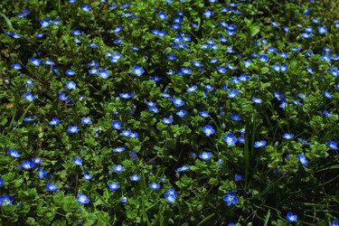 Similar image 8394422