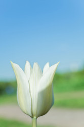 Similar image 8394423