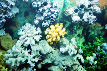 Similar image 8394425