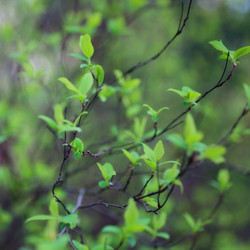 Similar image 8394426