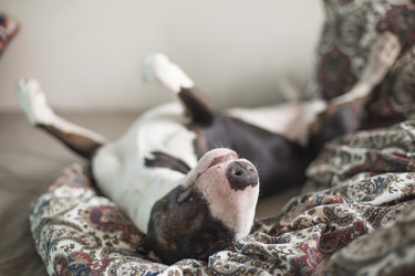 Similar image 8394521