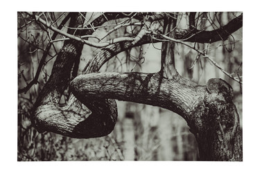 Similar image 8394524