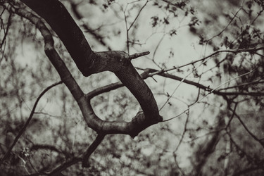 Similar image 8394525