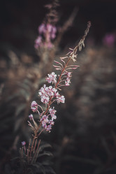 Similar image 8394526