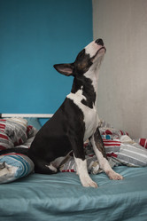 Similar image 8394527