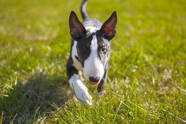 Similar image 8394528