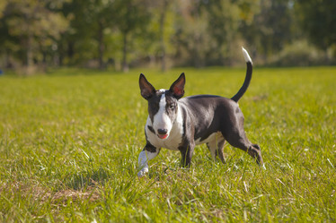 Similar image 8394529