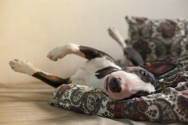 Similar image 8394530