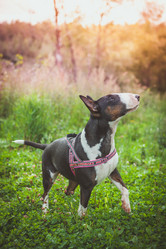 Similar image 8394531