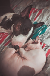 Similar image 8394534