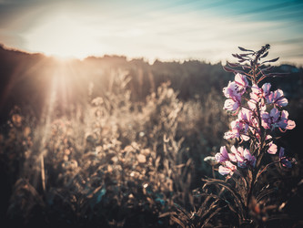 Similar image 8394535