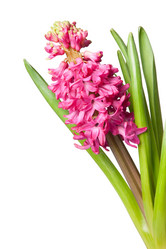 Similar image 8394781