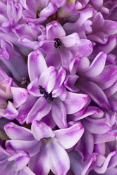 Similar image 8394786