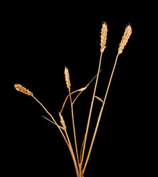 Similar image 8394790