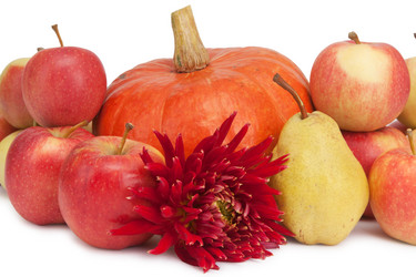 Similar image 8394796