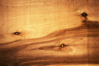 Similar image 8394798