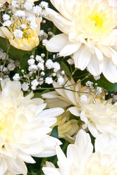 Similar image 8394800