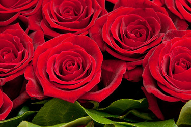 Similar image 8394801