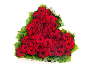 Similar image 8394802