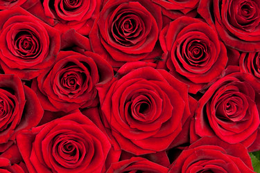 Similar image 8394803