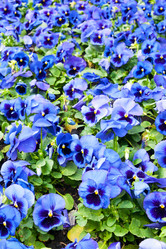 Similar image 8394807