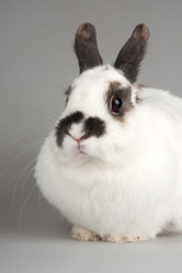 Similar image 8394816