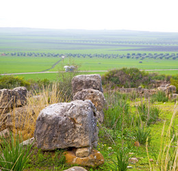 Similar image 8394832