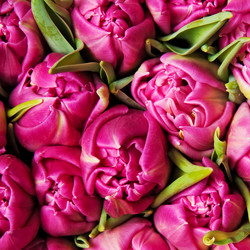 Similar image 8394850