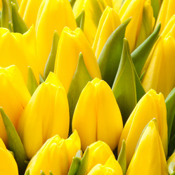 Similar image 8394854