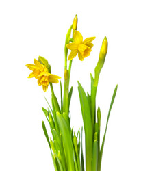 Similar image 8394856