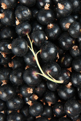 Similar image 8394864