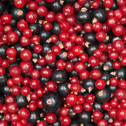 Similar image 8394866