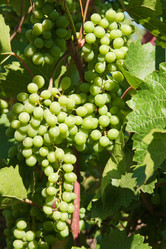 Similar image 8394868