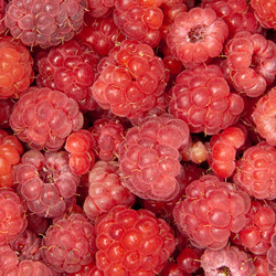 Similar image 8394870