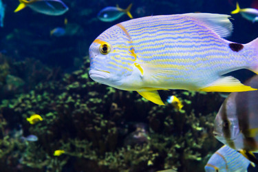 Similar image 8394872