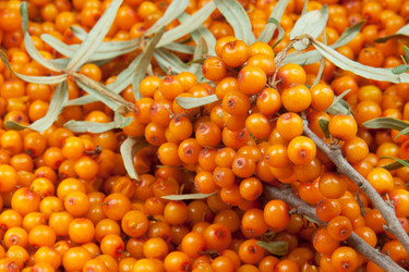 Similar image 8394876