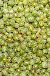 Similar image 8394879