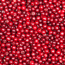 Similar image 8394880