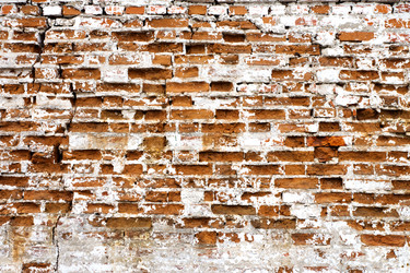 Similar image 8394881