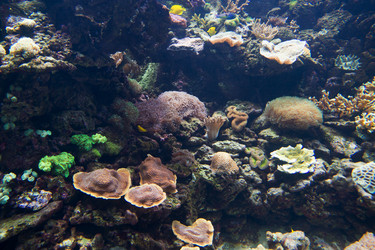 Similar image 8394883