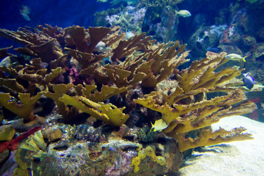 Similar image 8394887