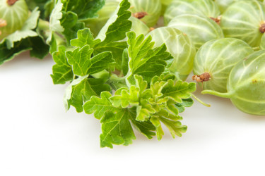 Similar image 8394888