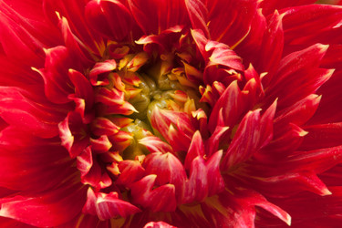 Similar image 8394889