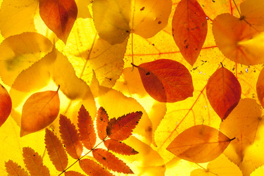 Similar image 8395001