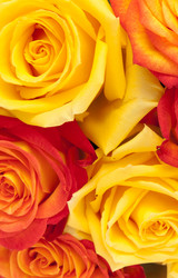 Similar image 8395002